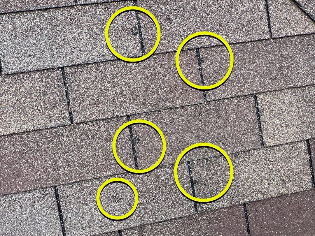 Multiple hail strikes circled on roof shingles