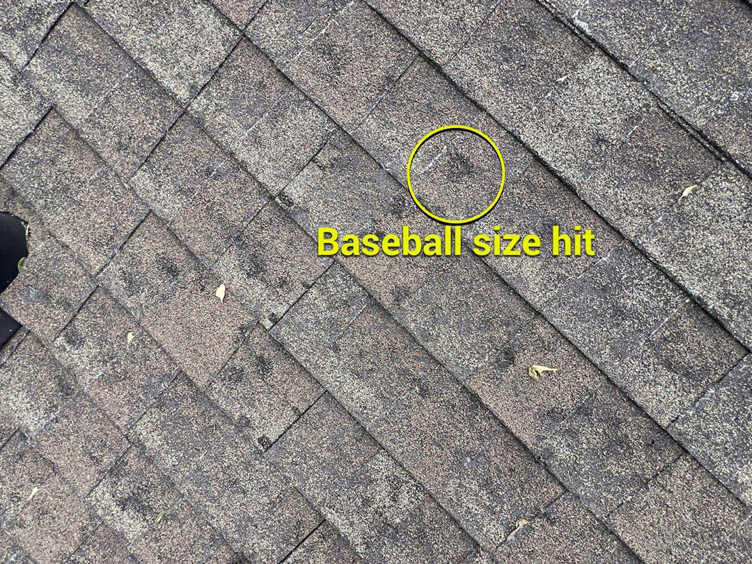 Large hail impact identified on asphalt shingles