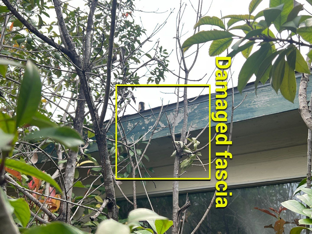 Damaged fascia documented after severe weather