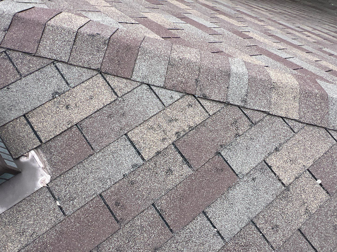 Hail wear documented along a shingle ridge
