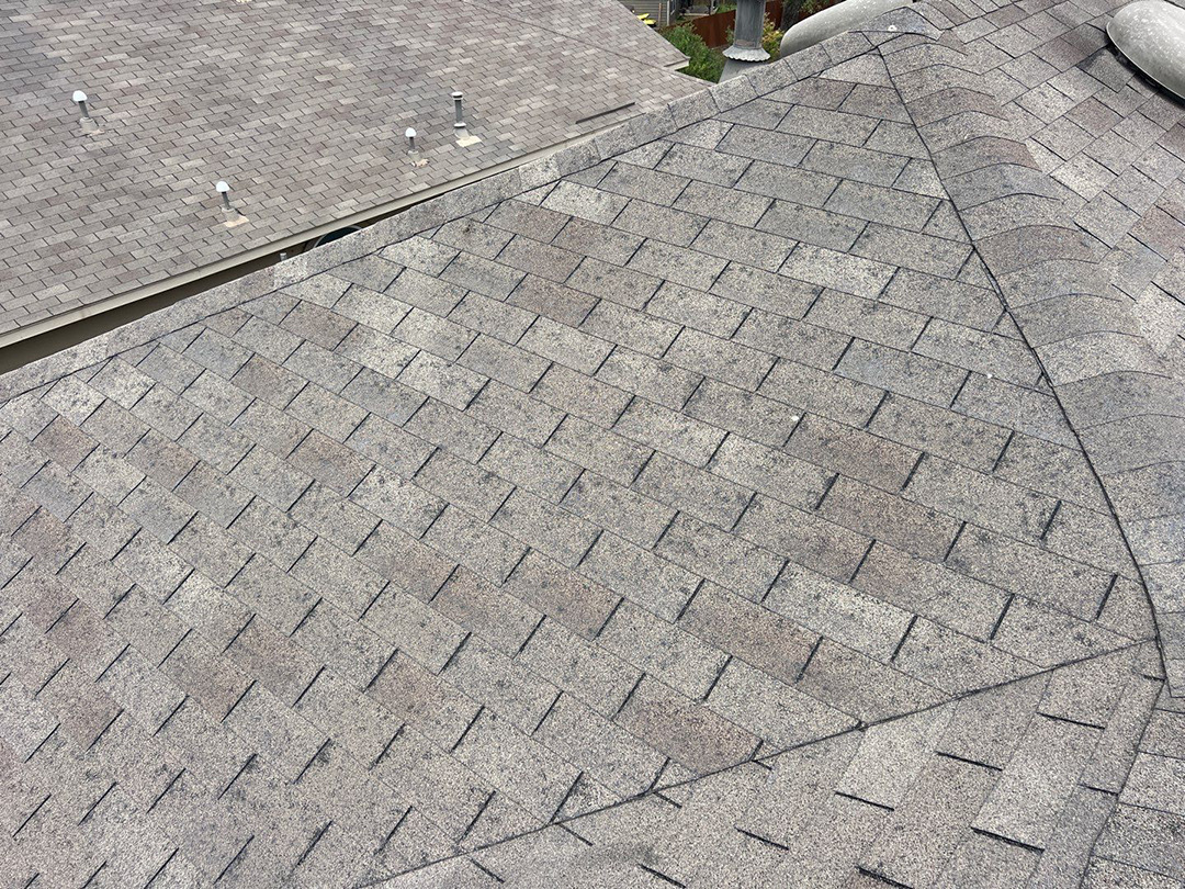 Shingle field showing widespread impact wear