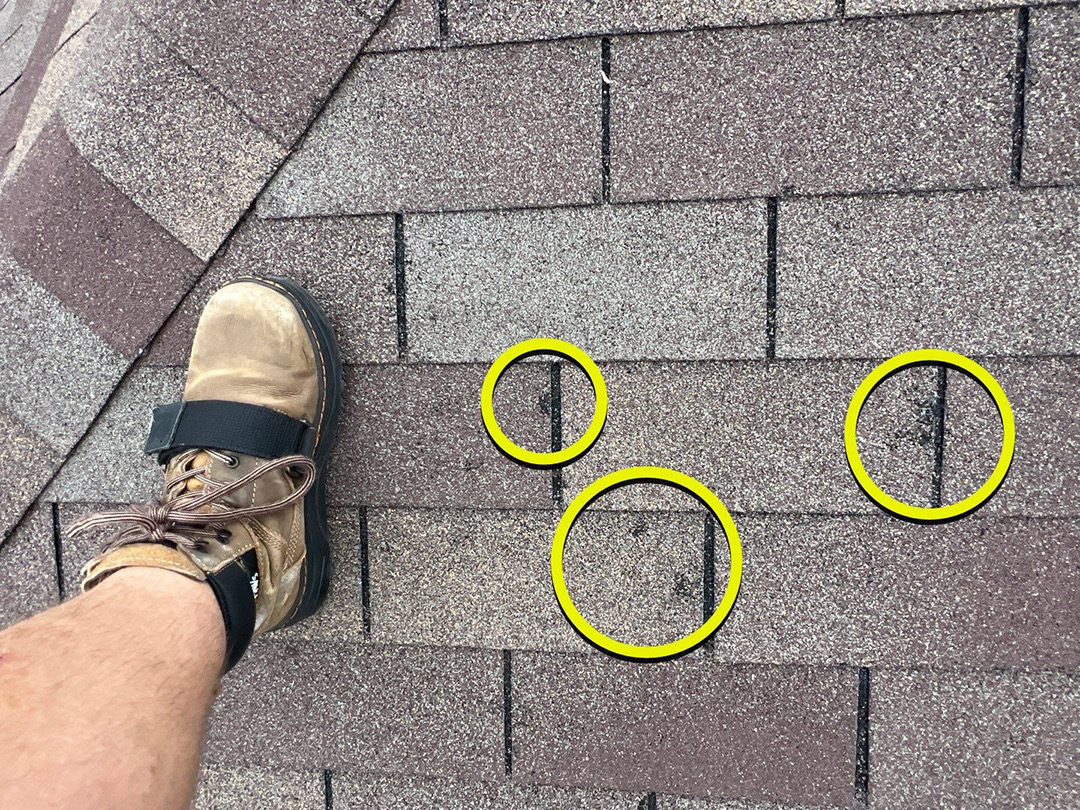 Hail impacts circled beside an inspector's boot